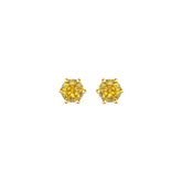 22K Gold Radiance Yellow Stud Earrings